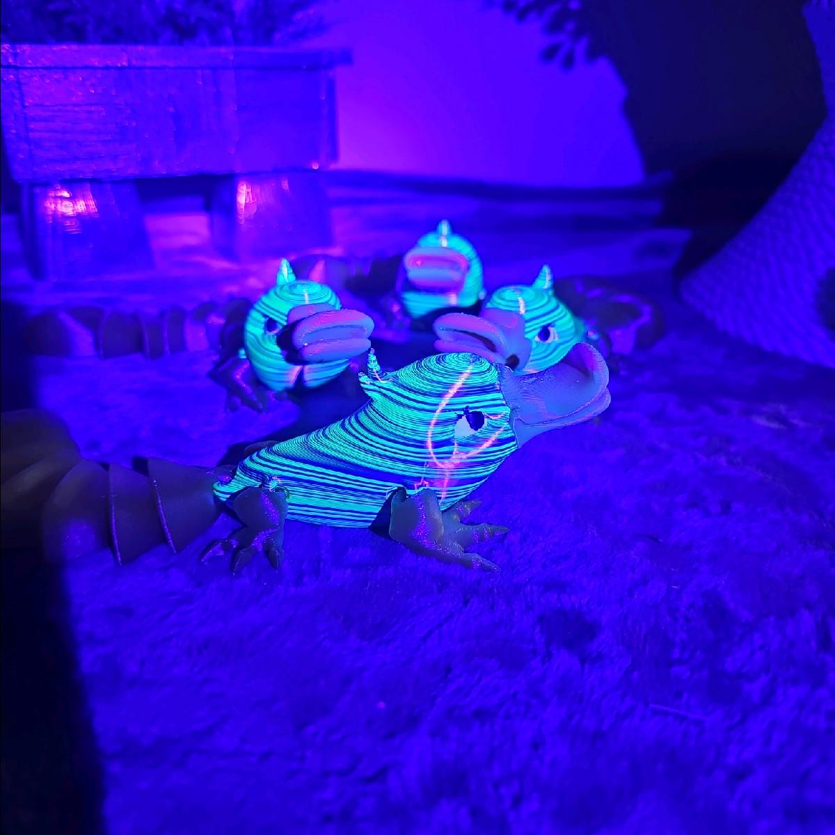 Adorable Little Ploppitypluss! 3d printed UV Reactive Platypus creative animal desk figure print articulating